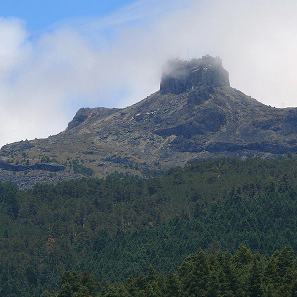 Parque Nacional Cofre de Perote